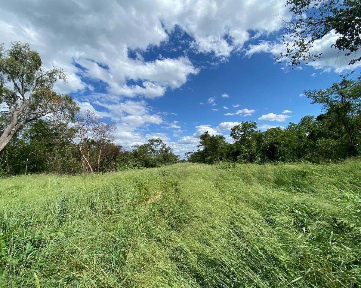Terreno Campo en Venta en Alto Paraguay, Paraguay.